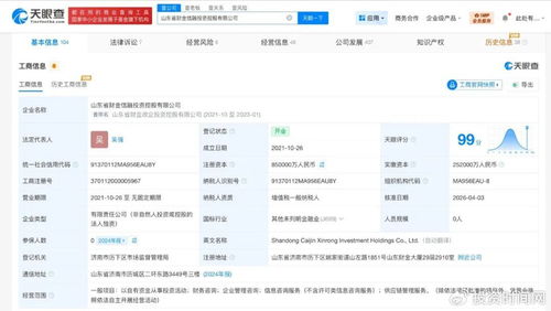 山東財(cái)金信融投資控股公司增資至85億 財(cái)務(wù)信息咨詢行業(yè)迎來新機(jī)遇與挑戰(zhàn)